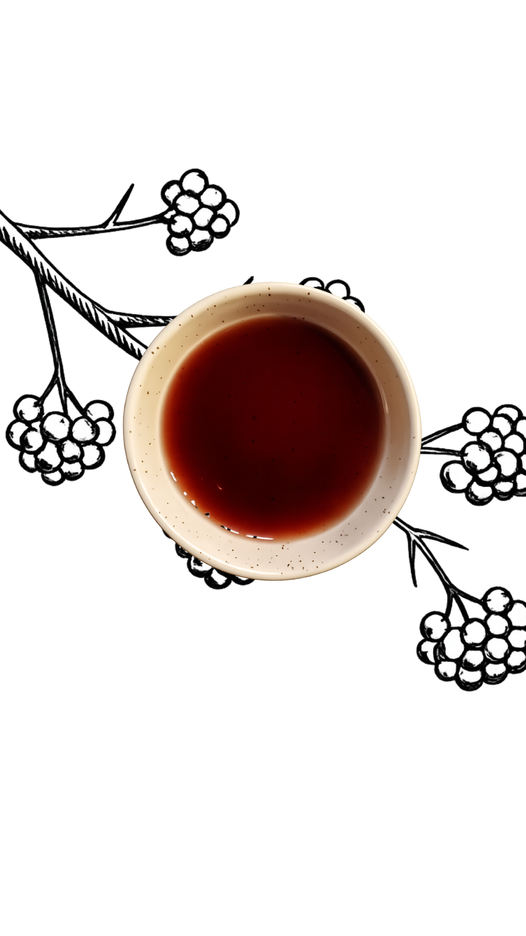 Skogsbärsvinäger lösvikt